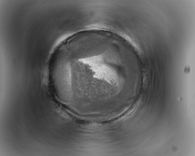 X0000102521358200808221831