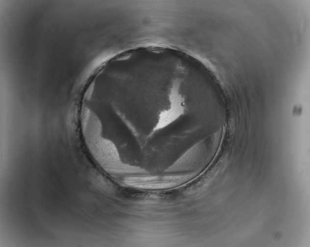 X0000102521359200808221831