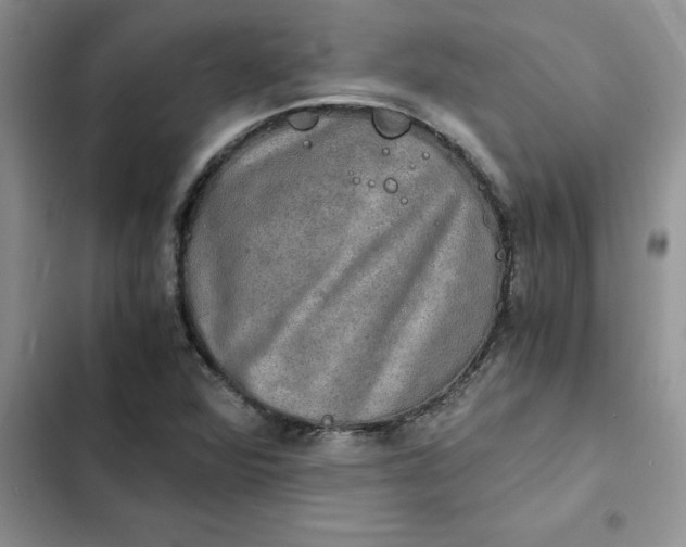 X0000102521360200808221831