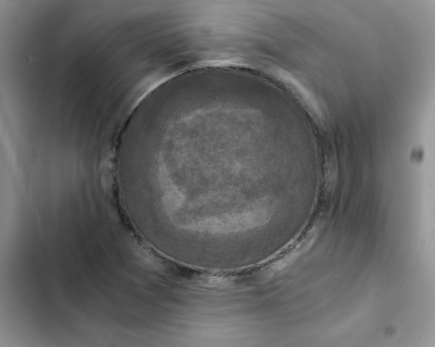 X0000102521361200808221831