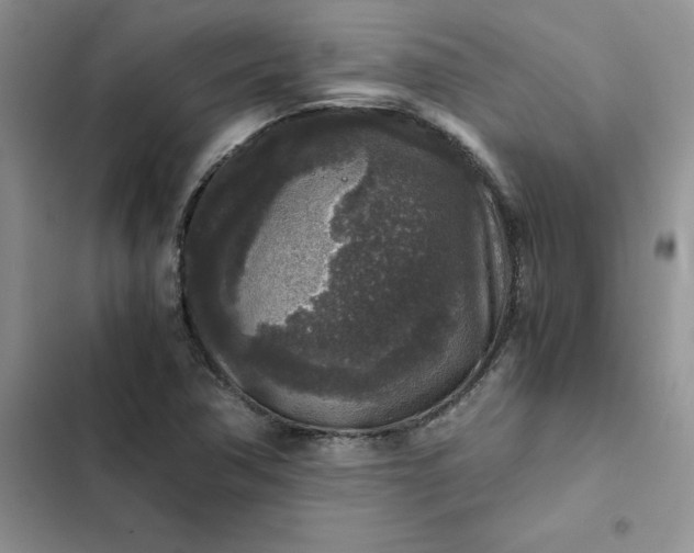 X0000102521362200808221831