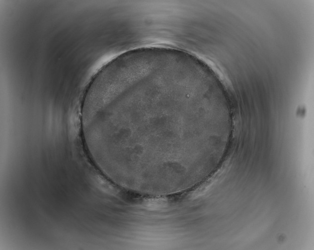 X0000102521363200808221831