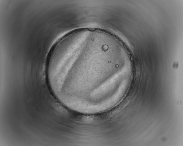 X0000102521364200808221831