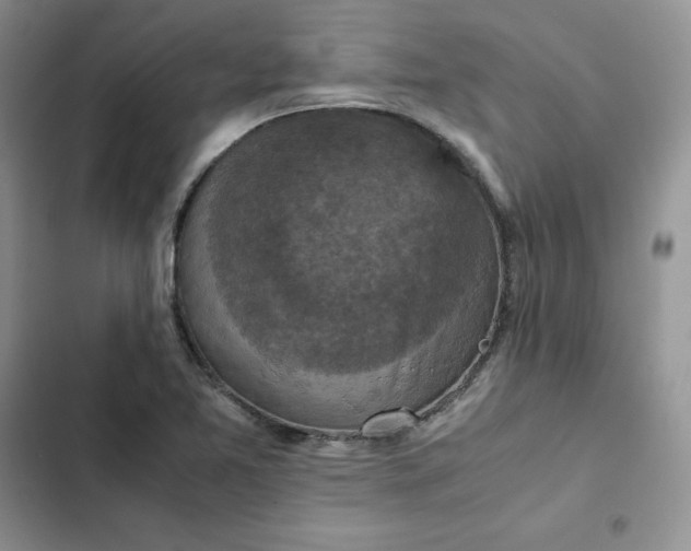 X0000102521365200808221831