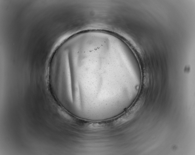 X0000102521366200808221831