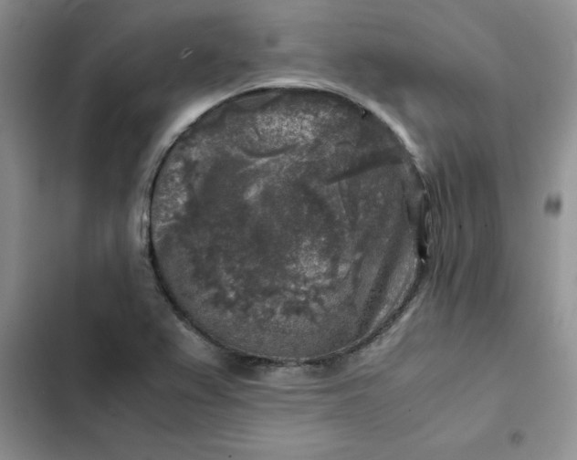 X0000102521367200808221831