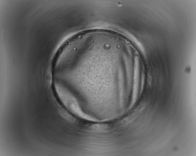 X0000102521368200808221831