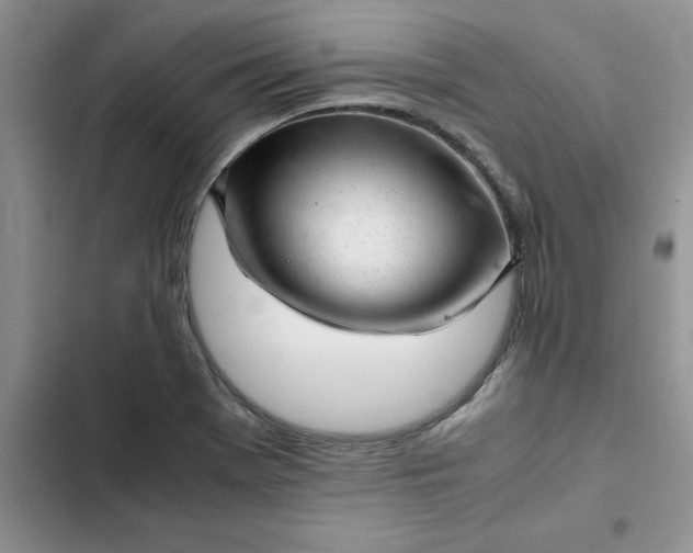 X0000102521369200808221831