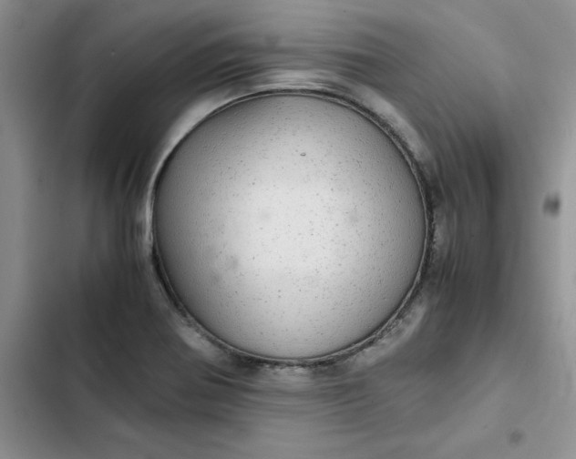 X0000102521370200808221831