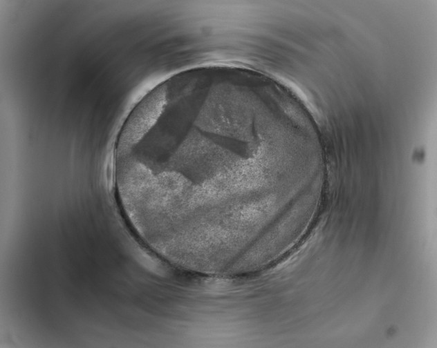 X0000102521371200808221831