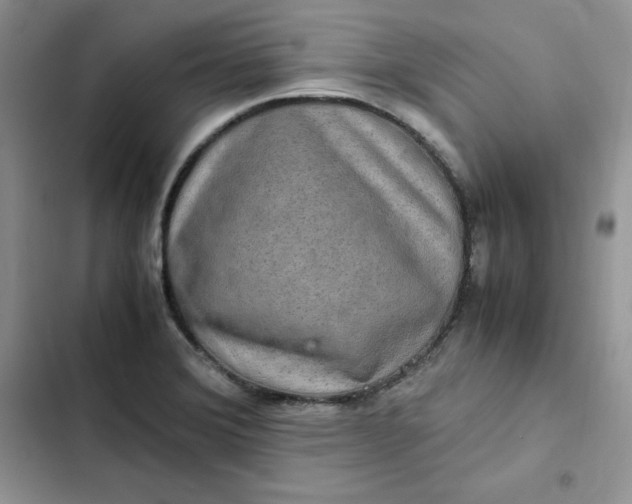 X0000102521372200808221831