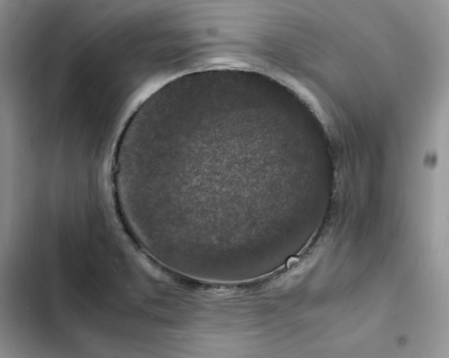 X0000102521373200808221831