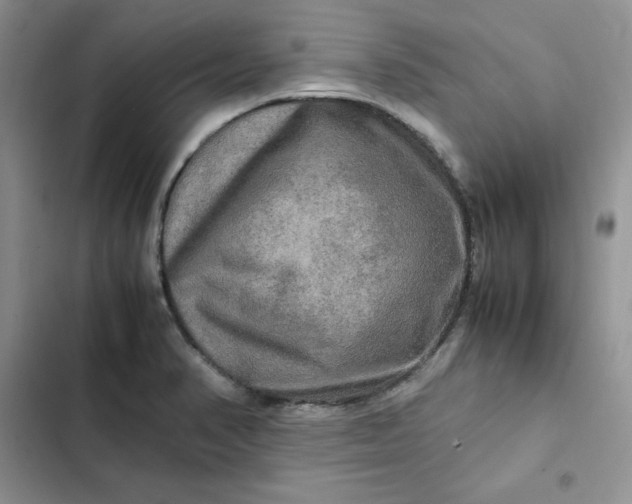 X0000102521374200808221831