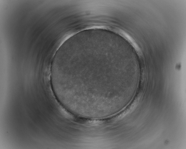 X0000102521377200808221831