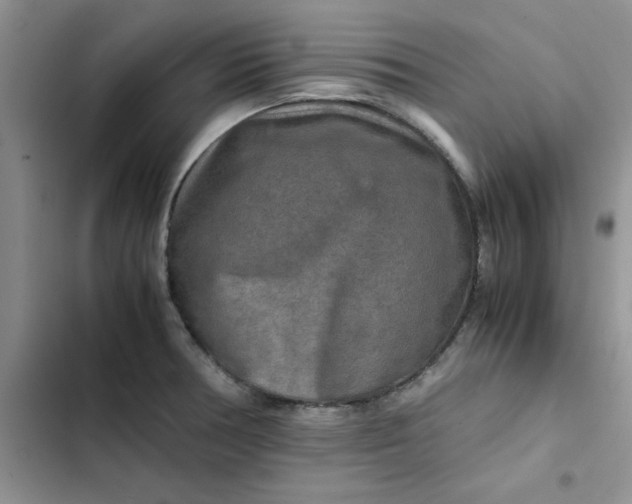 X0000102521378200808221831