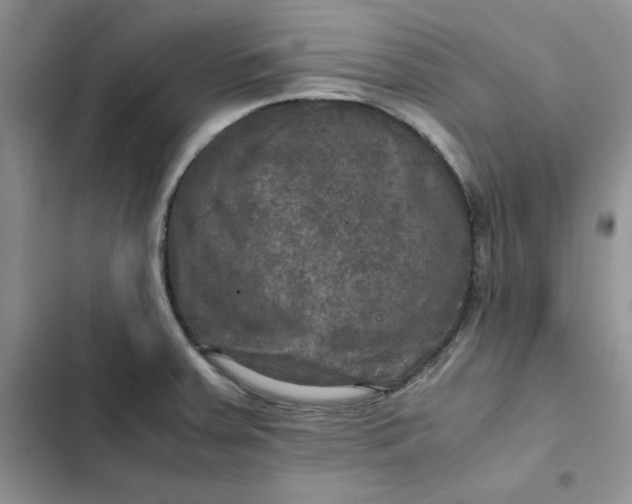 X0000102521379200808221831