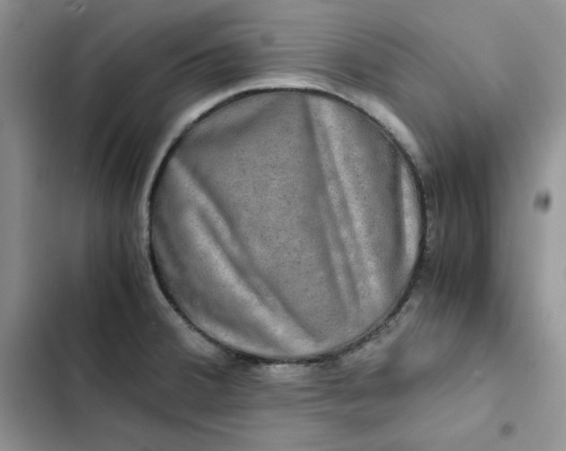 X0000102521380200808221831