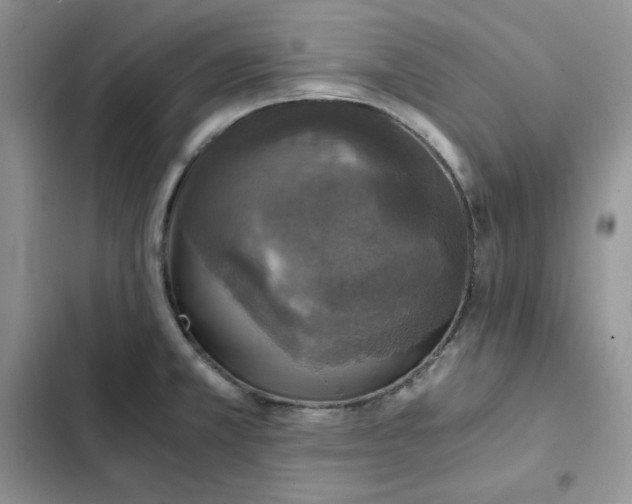 X0000102521381200808221831