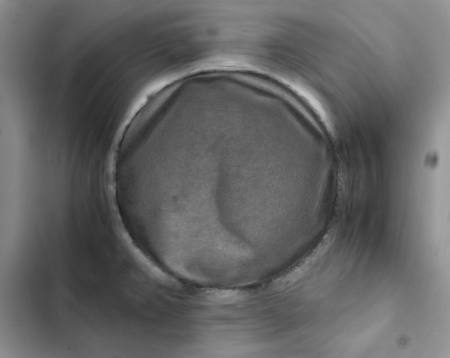 X0000102521382200808221831