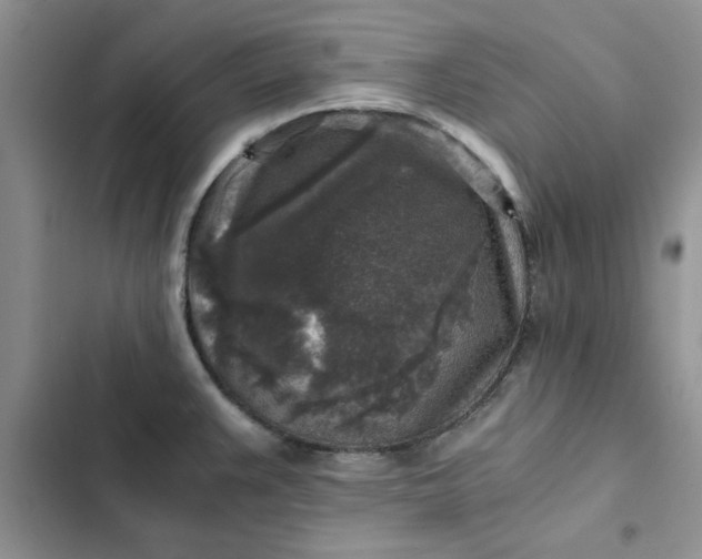 X0000102521383200808221831