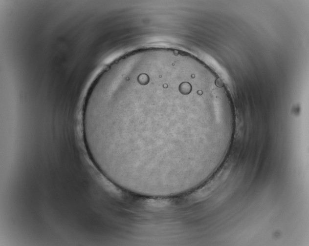 X0000102521384200808221831