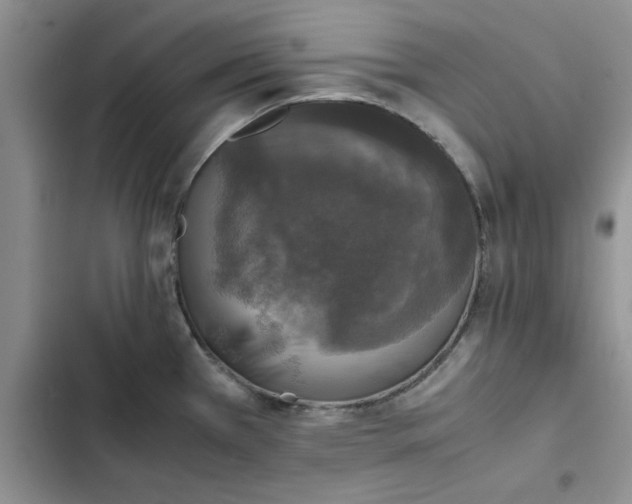 X0000102521385200808221831