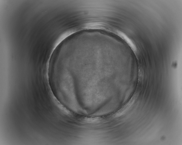 X0000102521386200808221831