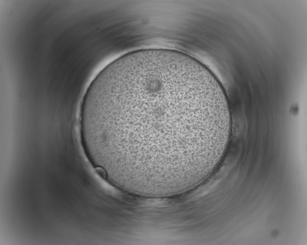 X0000102521387200808221831