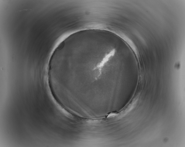 X0000102521389200808221831