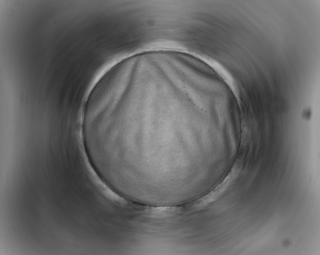 X0000102521390200808221831