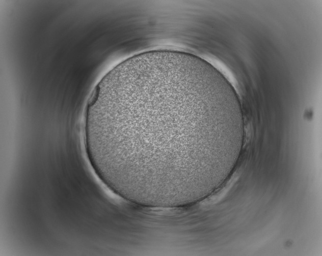 X0000102521391200808221831