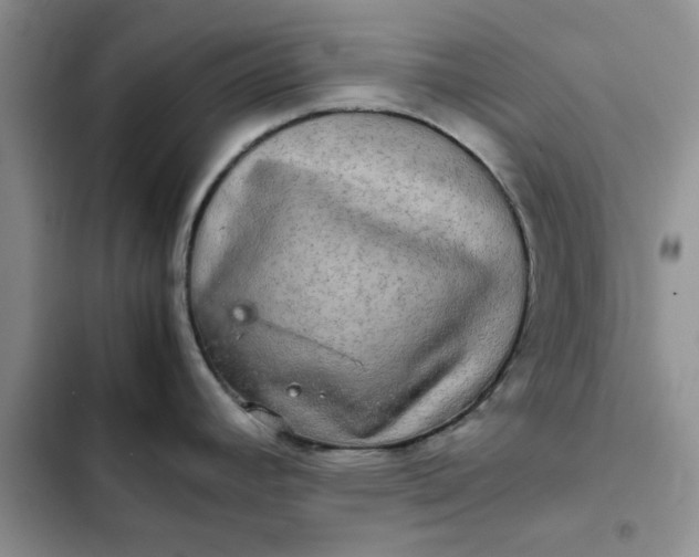 X0000102521392200808221831