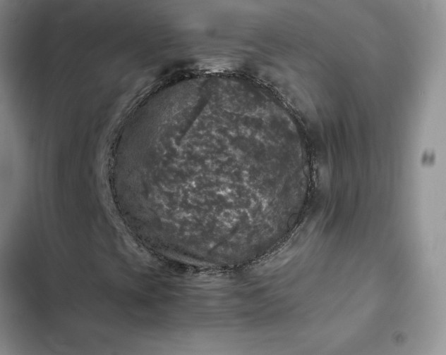 X0000102521393200808221830