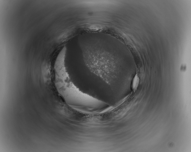 X0000102521394200808221830