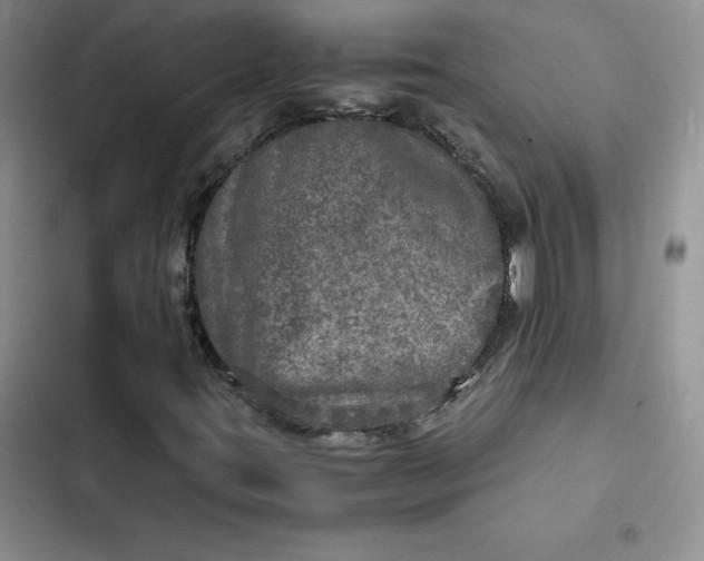 X0000102521395200808221830