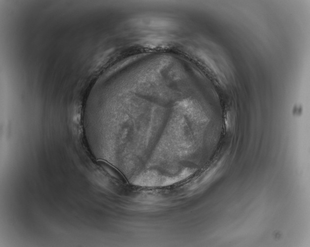 X0000102521396200808221830