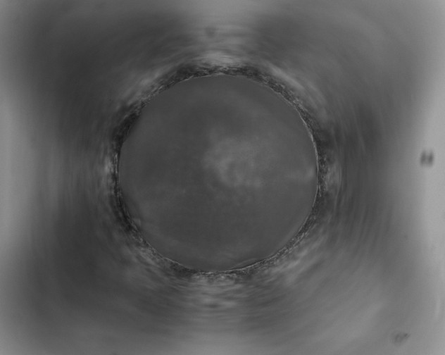 X0000102521397200808221830