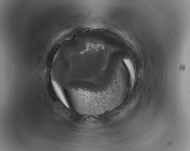 X0000102521398200808221830