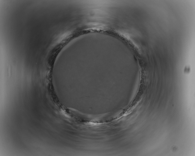 X0000102521399200808221830