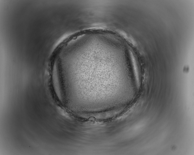 X0000102521400200808221830