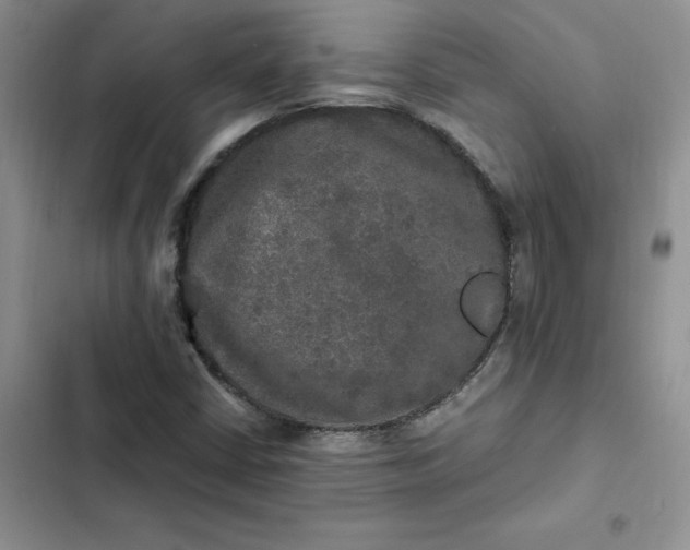 X0000102521402200808221830