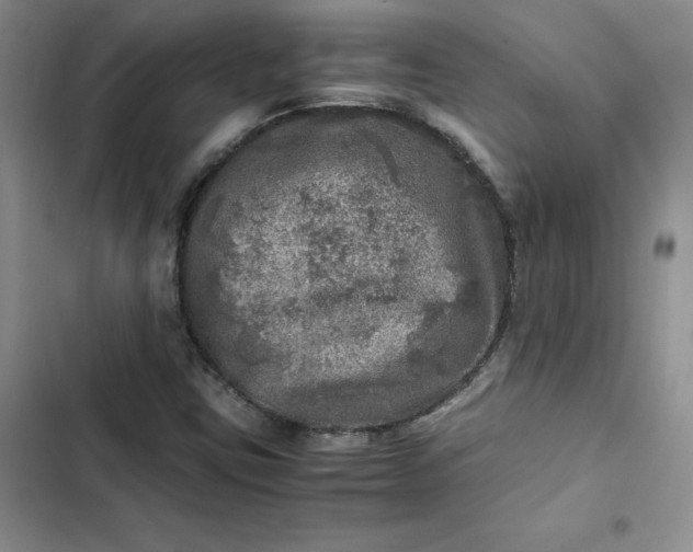 X0000102521403200808221830