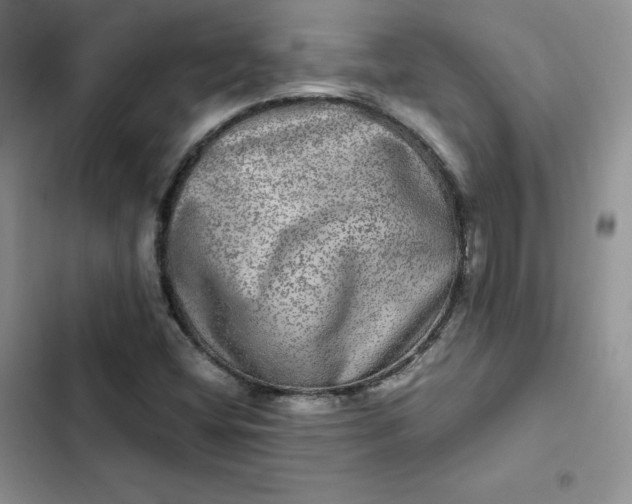 X0000102521404200808221830