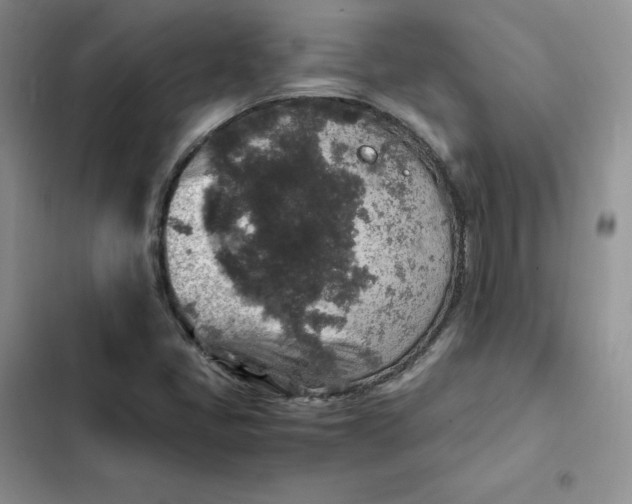 X0000102521405200808221830