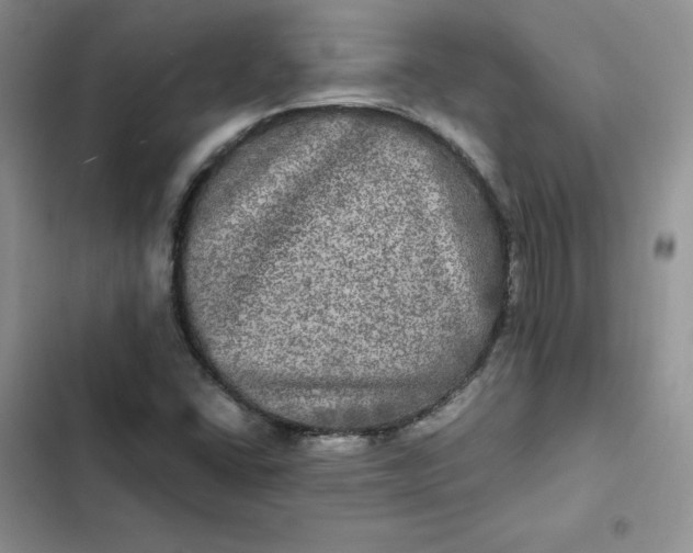 X0000102521406200808221830