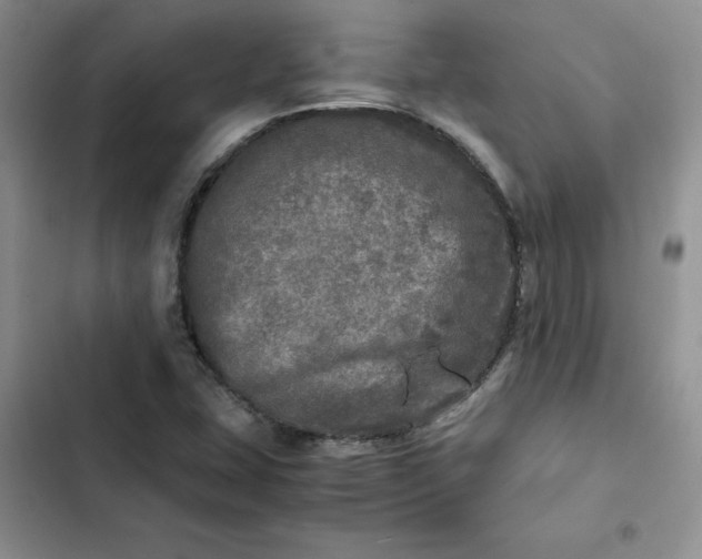 X0000102521407200808221830