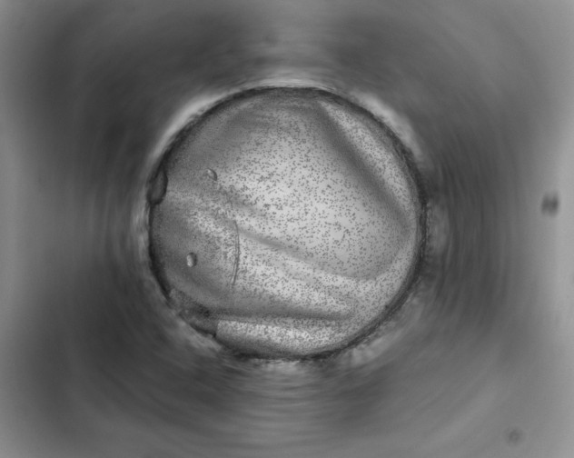 X0000102521408200808221830