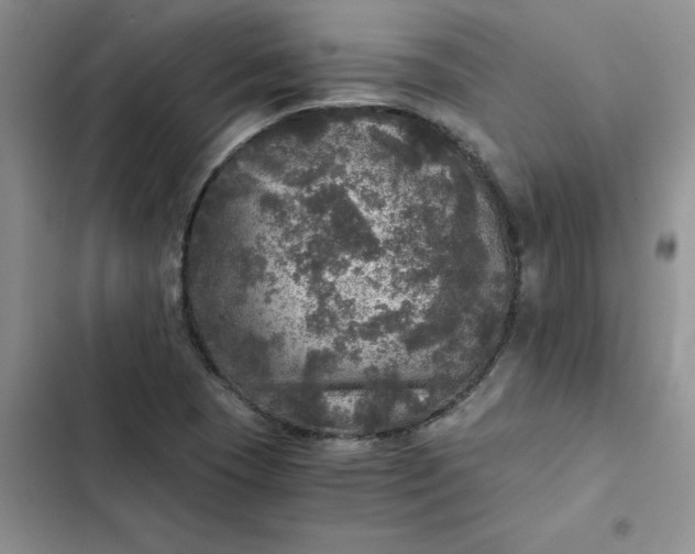 X0000102521409200808221830