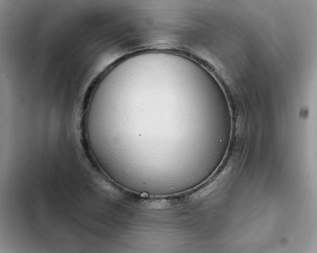 X0000102521410200808221830