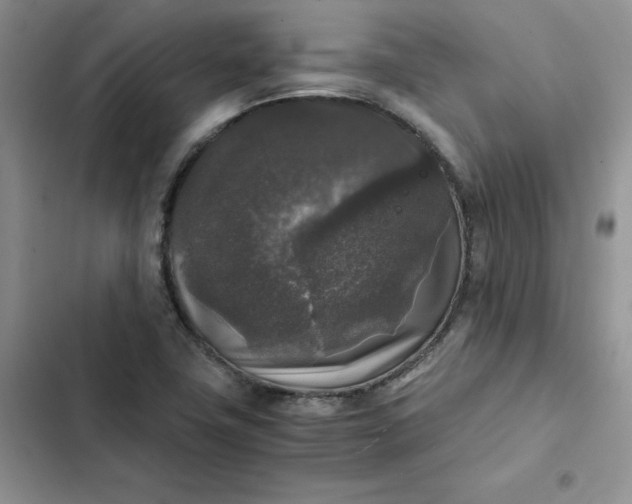 X0000102521411200808221830